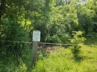 The Hradiště location after the elimination of Robinia pseudoacacia in Podyjí National Park