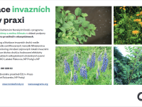 Banner of the project Elimination of invasive plant species in practice